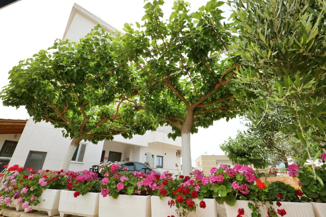 Guest House Gerard Ксамил Екстериор снимка